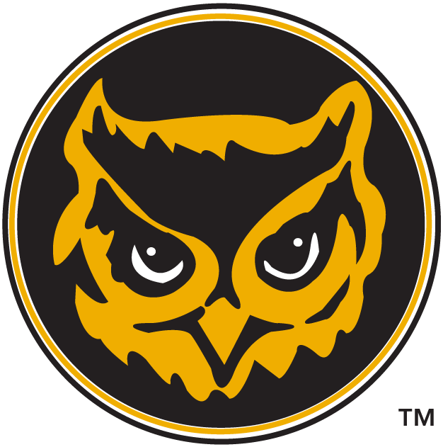 Kennesaw State Owls 1992-2011 Alternate Logo iron on transfers for fabric